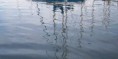 /album/galerie-photos/reflets-jpg/